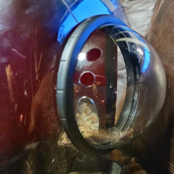 Pet Backpack Carrier Bubble Cat or small Dog.. Bran New! - Picture 4 of 5